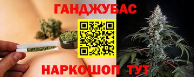 мяу мяу мука Ачхой-Мартан
