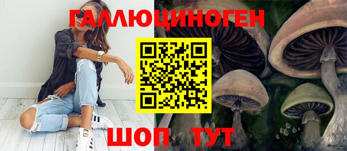 Галлюциногенные грибы Cubensis Ачхой-Мартан